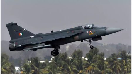 HAL Is Keen To Provide Egypt With Light Combat Aircraft Technology